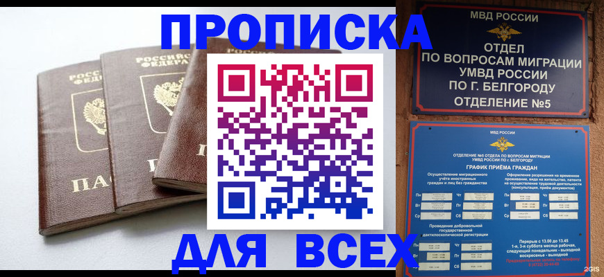 прописка в Михайлове